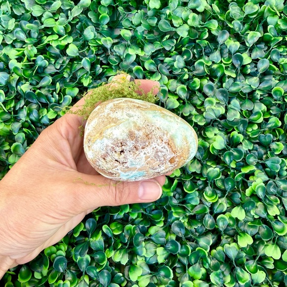 Parrot carving on Blue Caribbean Calcite - Picture 5 of 8